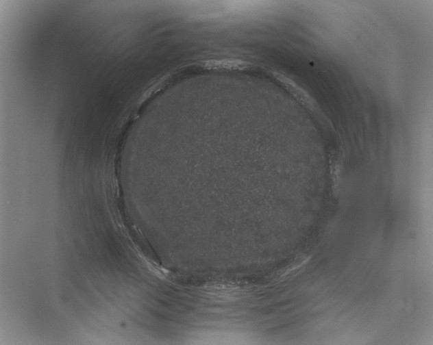 X0000075920729200609291824