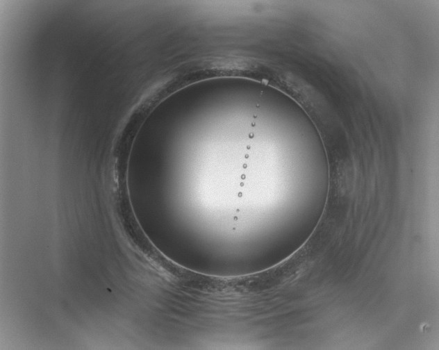 X0000075920731200609291824