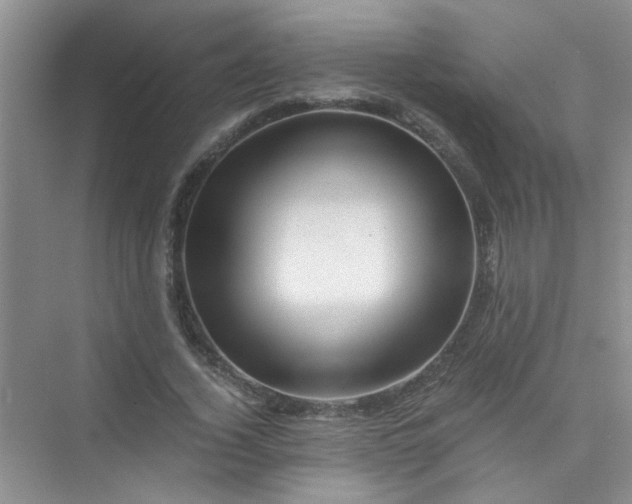 X0000075920732200609291824