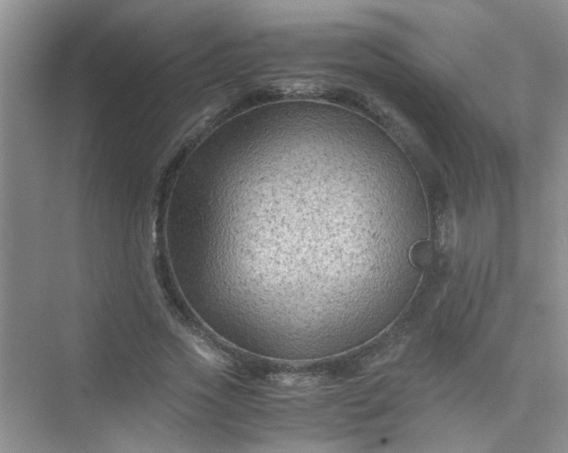 X0000075920733200609291824