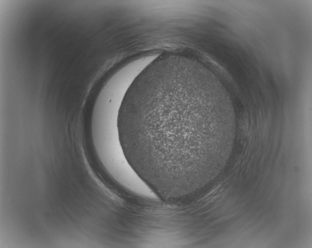 X0000075920734200609291824