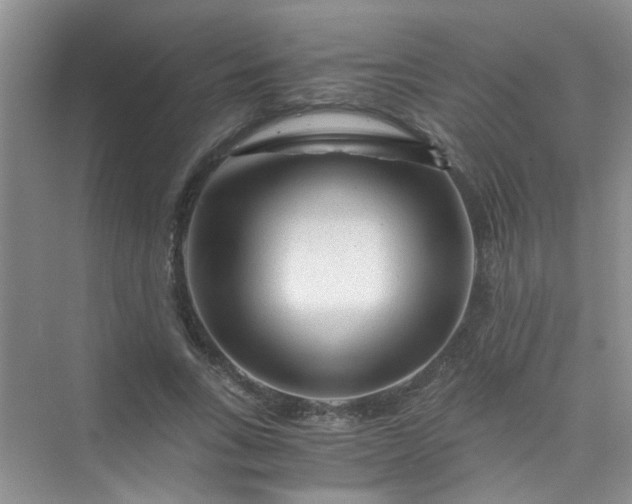 X0000075920735200609291824