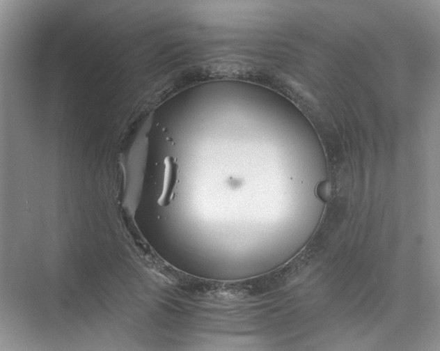 X0000075920737200609291824