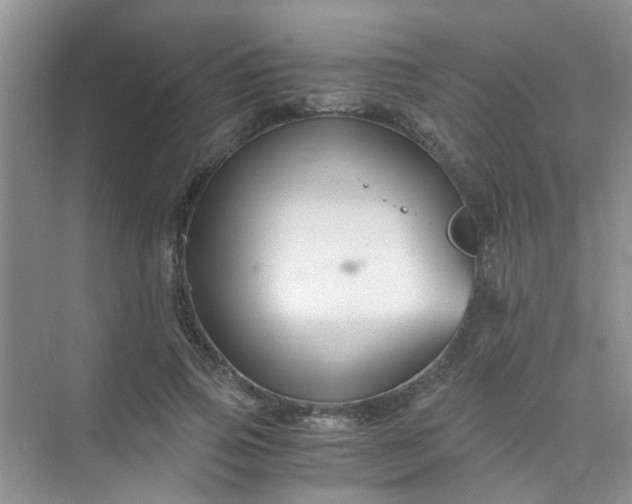 X0000075920741200609291824