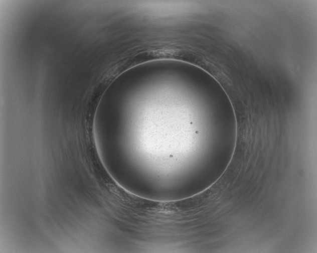 X0000075920743200609291824