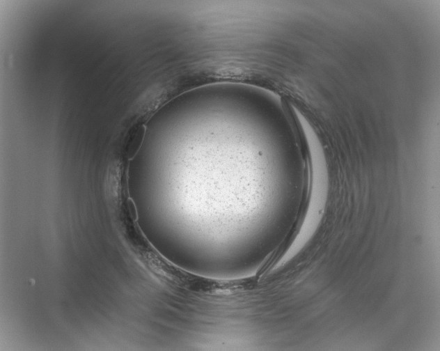 X0000075920744200609291824