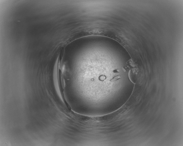 X0000075920747200609291824