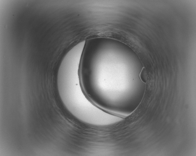 X0000075920748200609291824