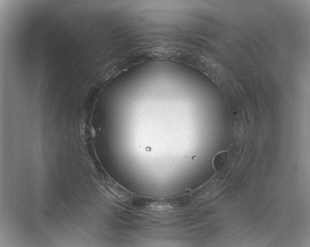 X0000075920749200609291824