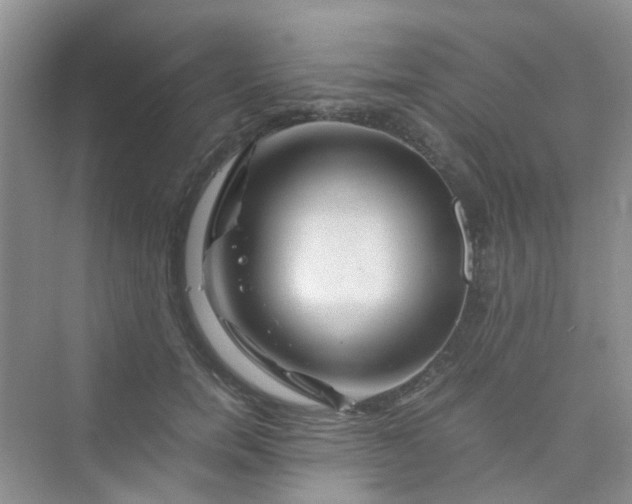 X0000075920750200609291824