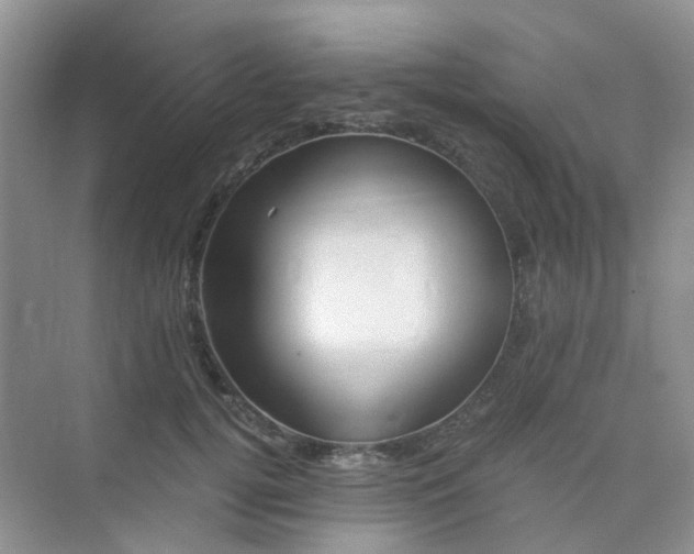 X0000075920752200609291824