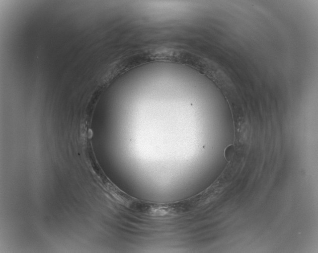 X0000075920753200609291824