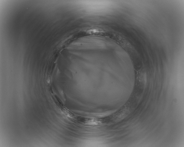 X0000075920754200609291824