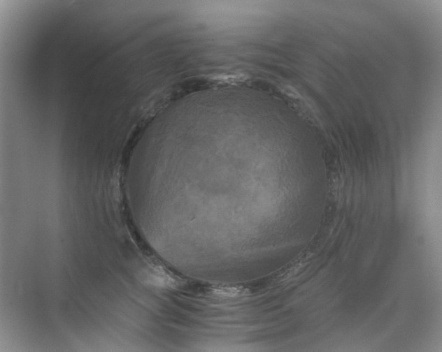 X0000075920757200609291824