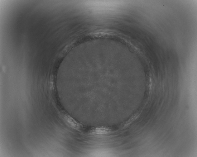 X0000075920758200609291824