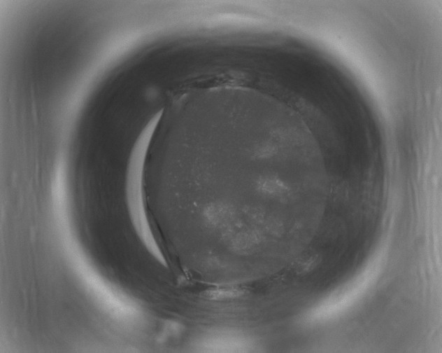 X0000075920765200609291824