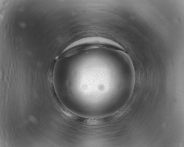 X0000075920766200609291824