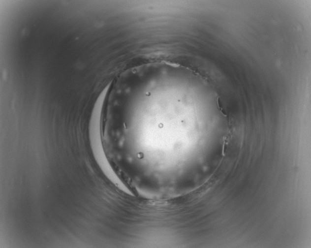 X0000075920767200609291824