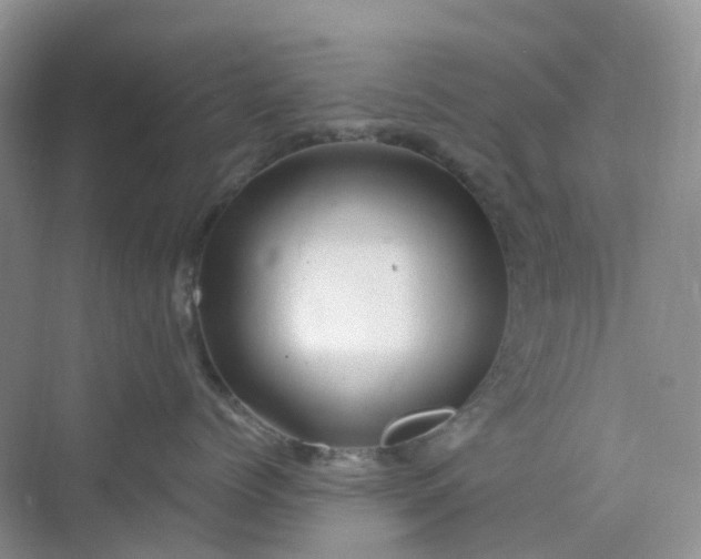 X0000075920768200609291824