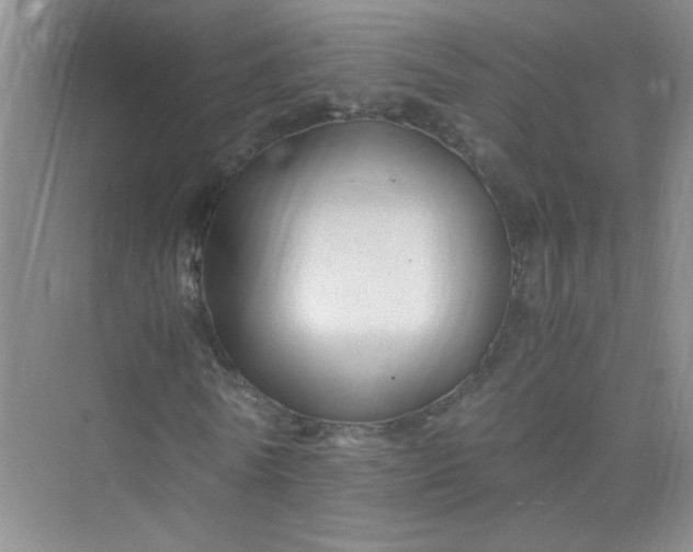 X0000075920770200609291823