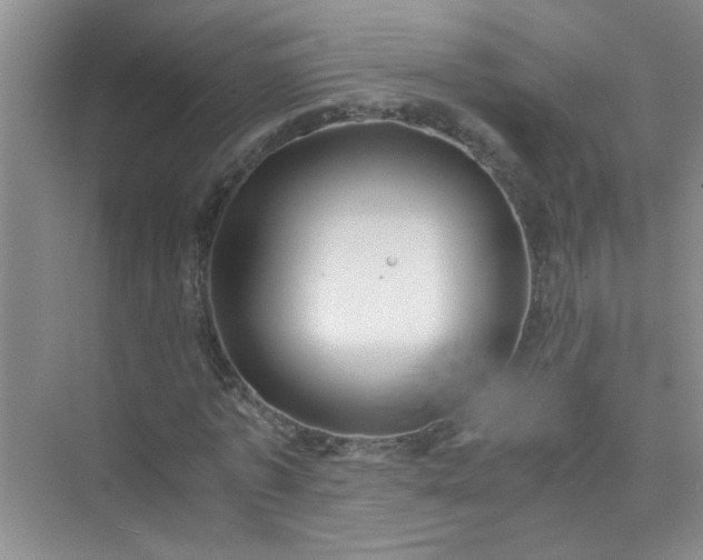 X0000075920773200609291823