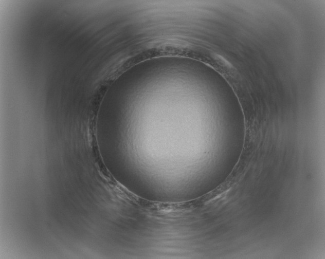 X0000075920774200609291823