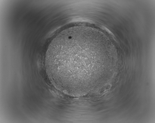 X0000075920775200609291823