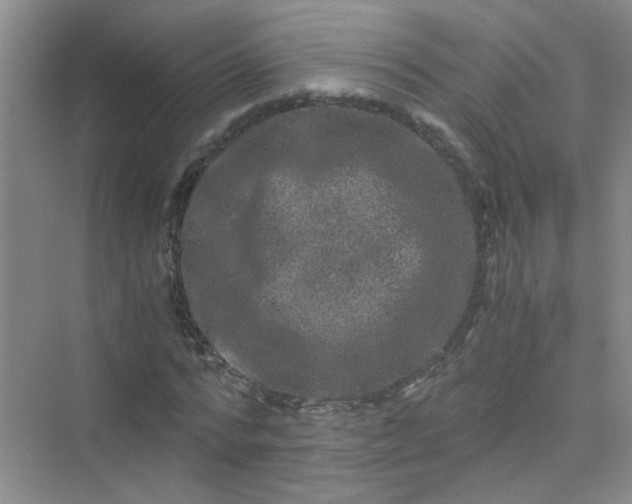 X0000075920776200609291823