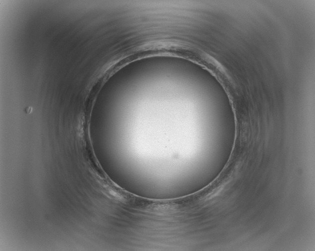 X0000075920778200609291823