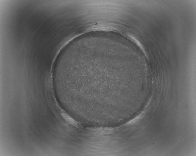 X0000075920779200609291823