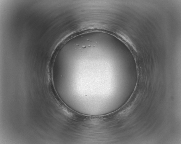 X0000075920782200609291823