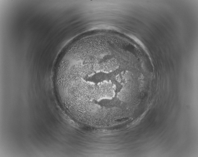 X0000075920783200609291823