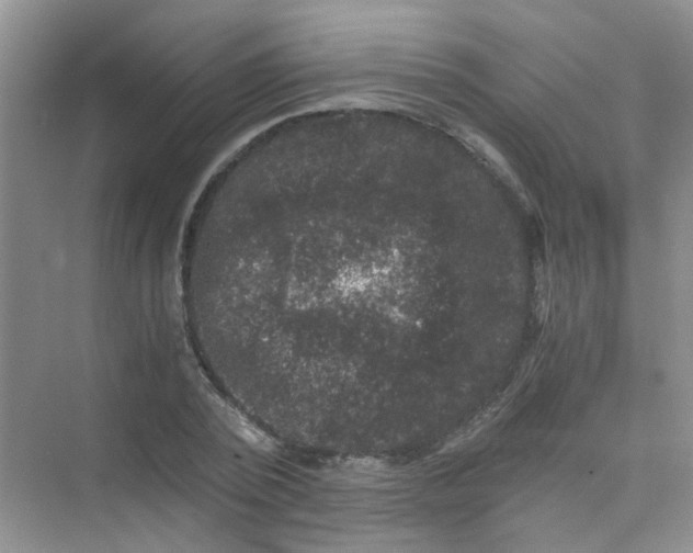 X0000075920784200609291823