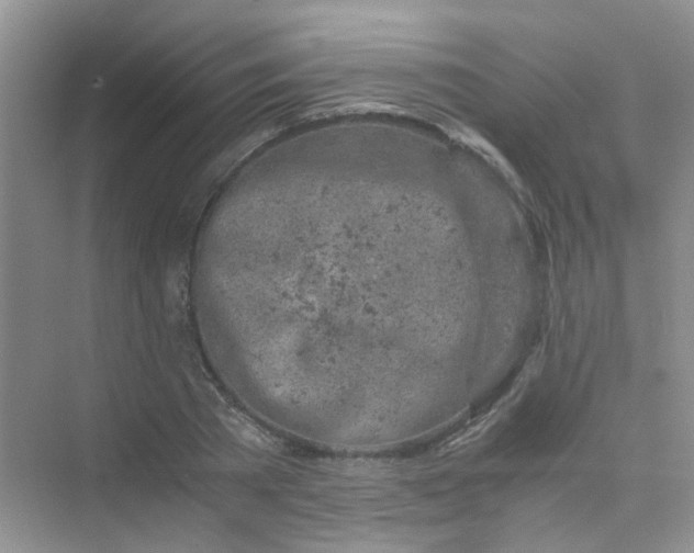 X0000075920785200609291823