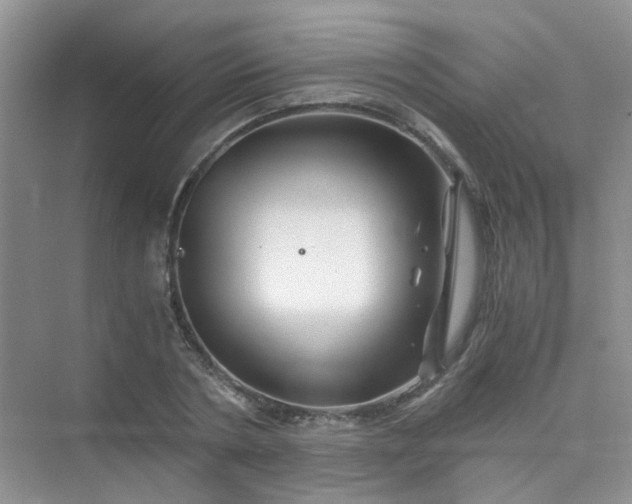 X0000075920786200609291823