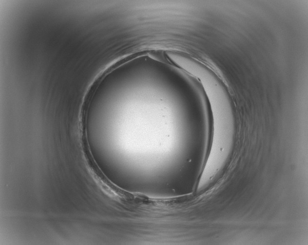 X0000075920787200609291823