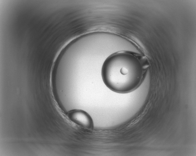 X0000075920788200609291823