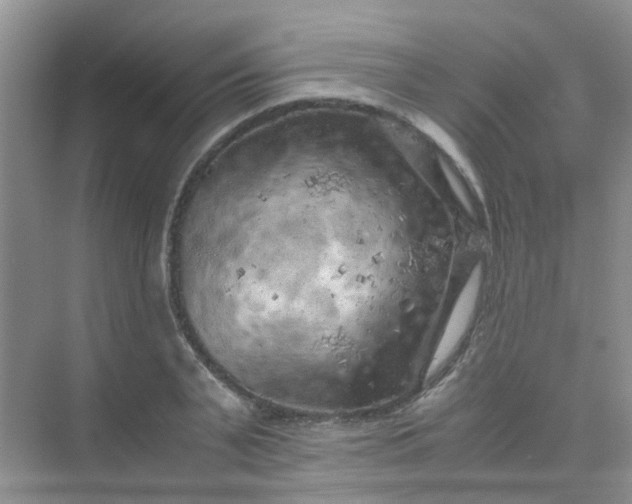 X0000075920791200609291823