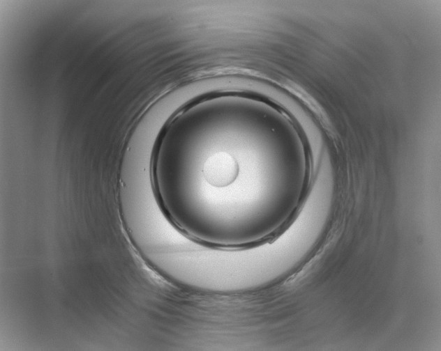 X0000075920801200609291823