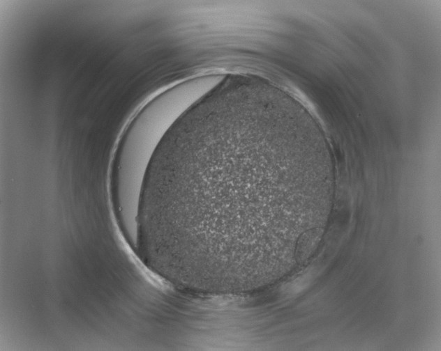 X0000075920803200609291823