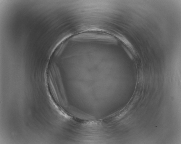 X0000075920806200609291823