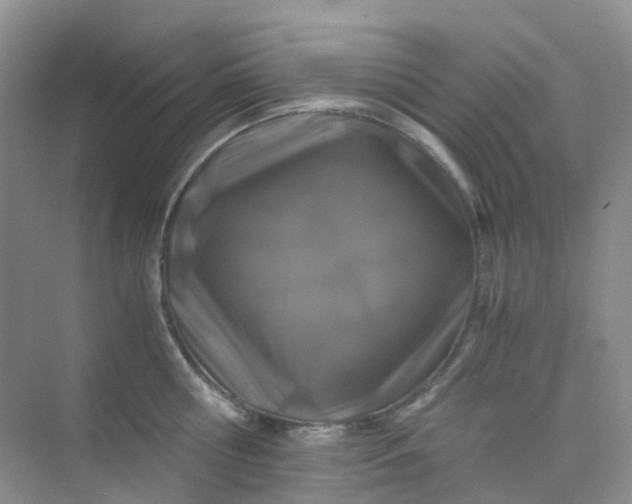 X0000075920810200609291823