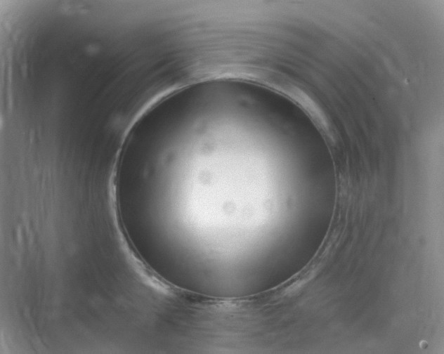 X0000075920814200609291823