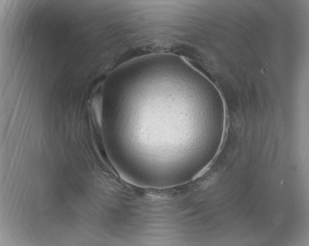 X0000075920818200609291822