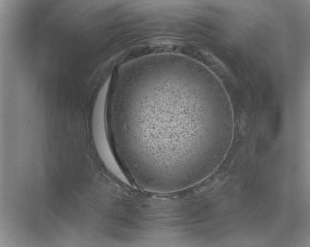 X0000075920821200609291822