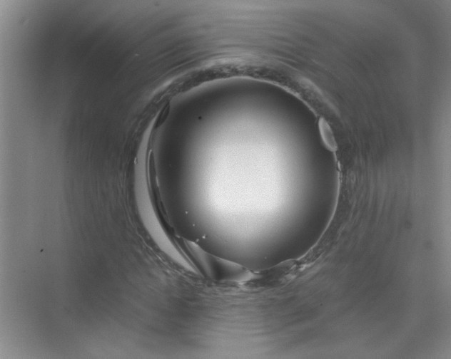 X0000075920822200609291822