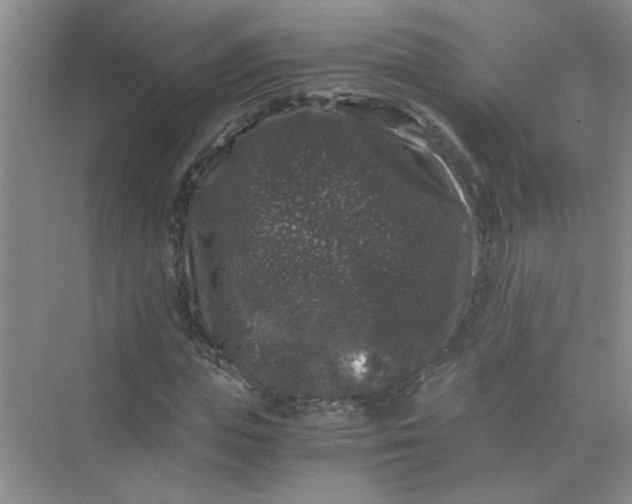 X0000075920823200609291822