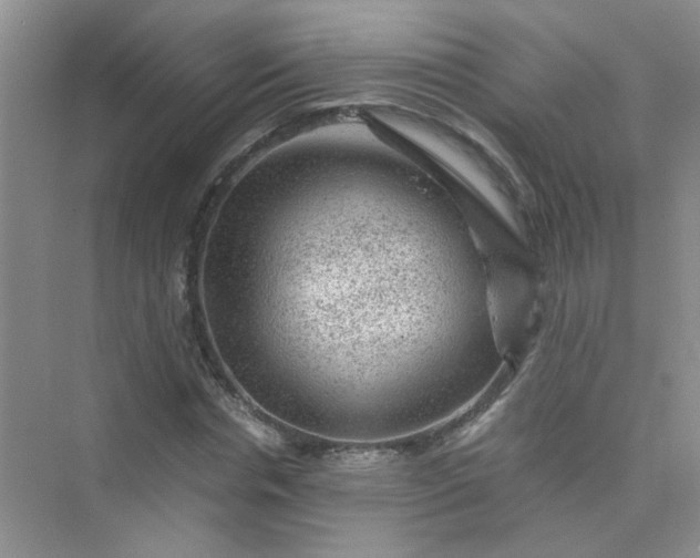 X0000075920826200609291822