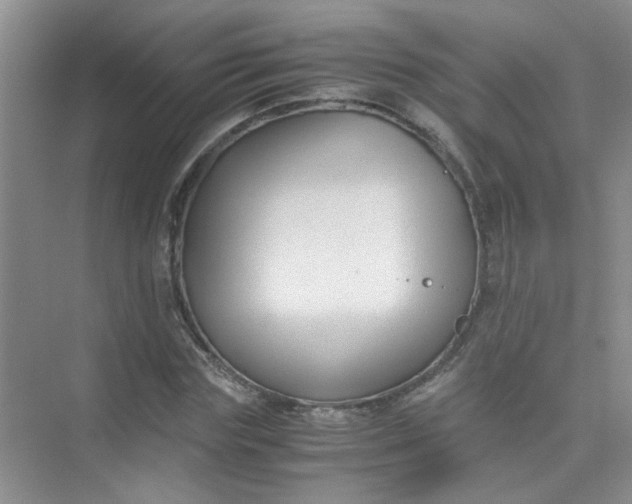 X0000075920827200609291822