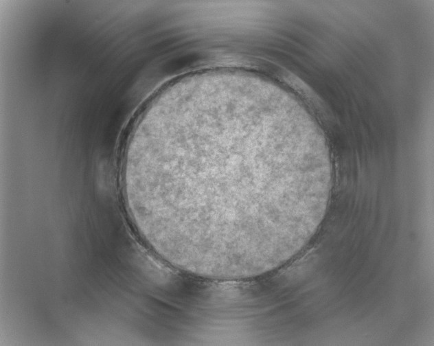 X0000075920828200609291822